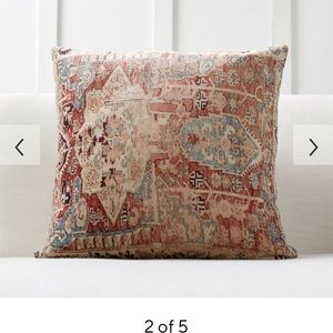 Set of 2 Pottery Barn Basilia velvet pillow covers